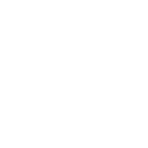 ADA Icon_white