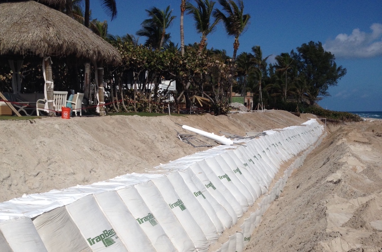 Trapbag barriers lined along a beach with palm trees in the background