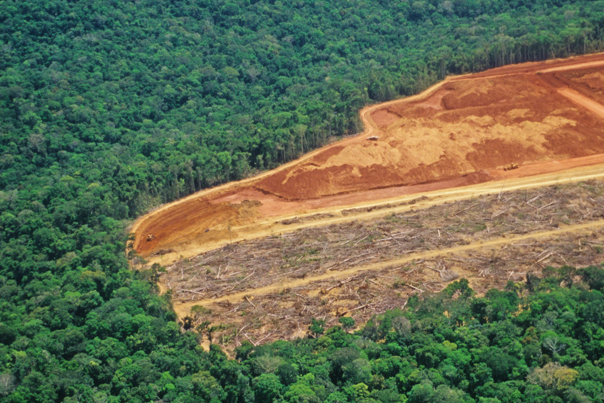https://trapbag.com/wp-content/uploads/2023/02/Deforestation.jpg
