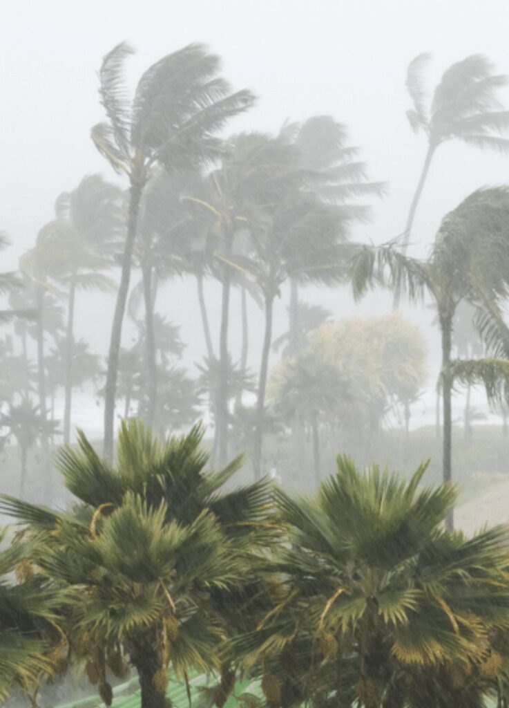 Hurricane rain vertical Vertical image of a hurricane making landfall