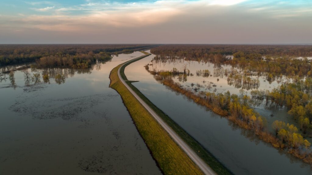 Mississippi River levee high water