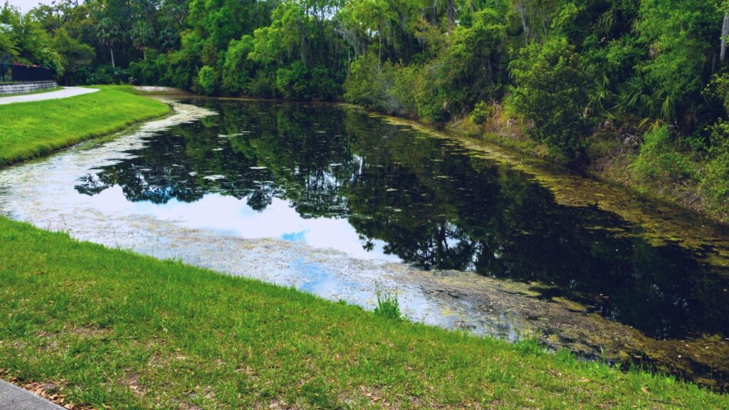 retention pond