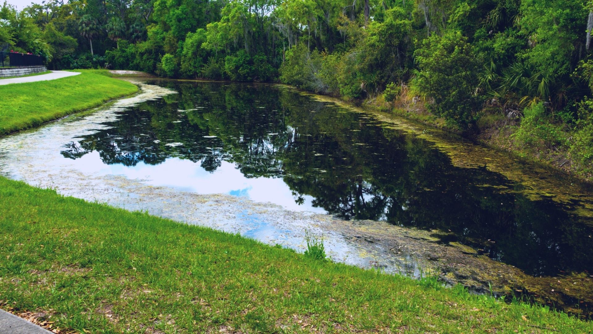 Detention Basin &amp; Retention Basin Pros &amp; Cons | TrapBag