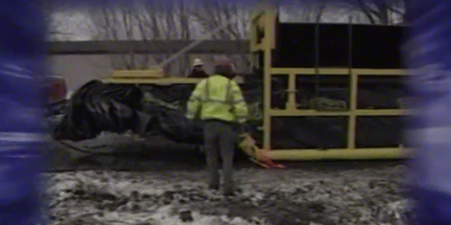 Screenshot 2026-02-11 at 1.10.38 PM