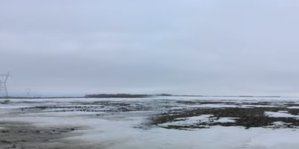 Screenshot 2026-02-11 at 1.22.14 PM